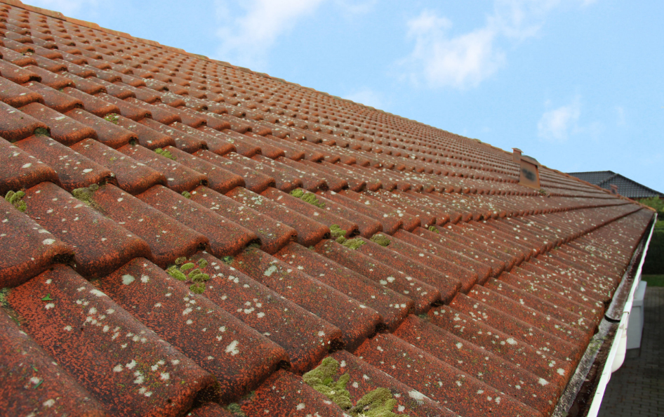 Dach vor der Dachreinigung